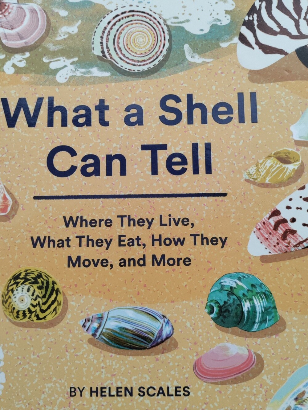 What a Shell Can Tell - Picture 3 of 16